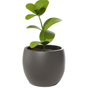 Plantas